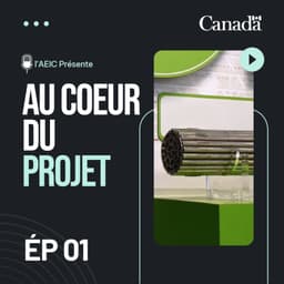 Cover art for Sous la surface : le projet de dépôt souterrain en couches géologiques profondes